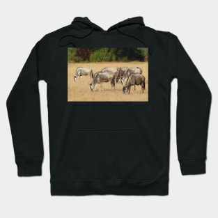 White Race Wildebeest Herd Grazing Hoodie